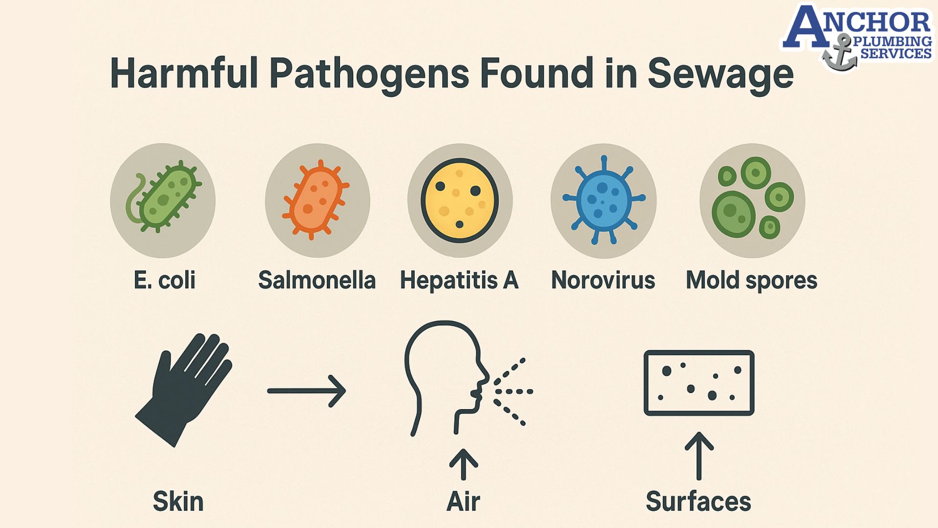 Illustration of pathogens in sewage that cause illness, with exposure paths.